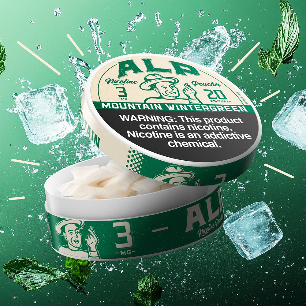 ALP POUCHES 6MG MOUNTAIN WINTERGREEN